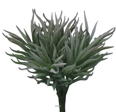 Séneçon factice sur tige, H 15 cm, D 16 cm, Vert aloe