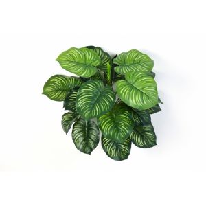 Calathea factice en piquet 22 feuilles, H 45 cm Vert