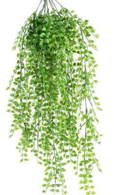 Chute de callisia factice H 80 cm 