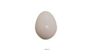 Oeufs blancs factices en Plastique soufflé H 65 mm D 45 mm