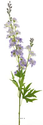 Tige de Delphinium poupre-blanc H 85 cm 