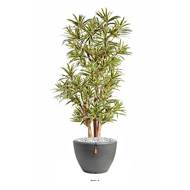 Dracaena reflexa factice Panache H 120 cm 1002 feuilles en pot