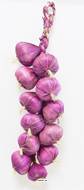 Tresse d'ail artificielle violette factice x12 têtes L 50 cm touché réel