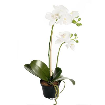 Orchidee artificielle 2 hampes en pot H 40 cm toucher reel Blanc neige