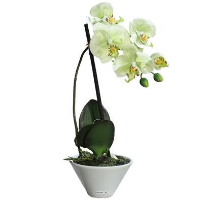 Orchidee artificielle 1 hampe en coupe ceramique H 37 cm Crème vert