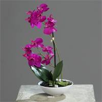 Orchidee artificielle 2 hampes en coupe plastique H 26 cm Touché reel Pourpre