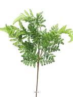 Fougère asplenium factice en branche H 57 cm