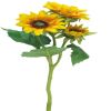 3 fleurs de tournesol ouvertes factices en branche, H 37 cm