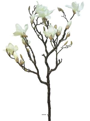 Branche de Magnolia factice, 2 ramures, H 128 cm, Crème
