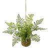Kokedama factice adiantum