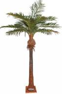 Palmier Coco factice H 400 cm D 280 cm 18 palmes sur platine