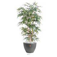 Bambou factice Yang Feuillage long H 120 cm