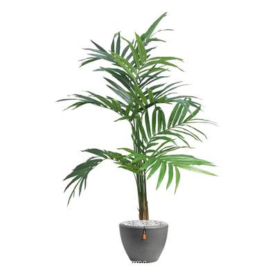 Palmier Kentia Artificiel H 180 cm en pot