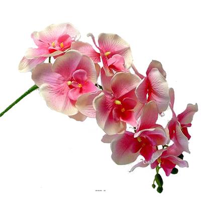 Orchidee Tao artificielle H 105 cm 8 fleurons 5 boutons qualite Pro Rose soutenu