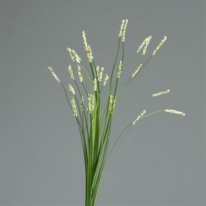 Isolepsis factice Herbe a ours H 70 cm Creme