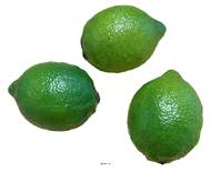 Citrons verts factices x3 H 80x60 mm plastique soufflé