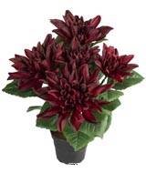Dalhia factice fleuri en pot, 5 fleurs, H 30 cm, Pourpre