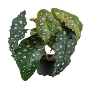 Begonia Bambou factice en pot H 30 cm