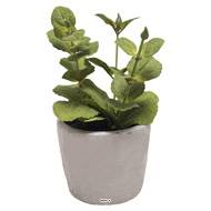 Herbe aromatique factice Menthe H 17 cm D 11cm pot Béton