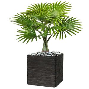 Palmier Bouteille factice H 45 cm 9 palmes dans un pot