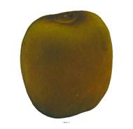 Kiwis factices x2 D 65x70 mm plastique soufflé