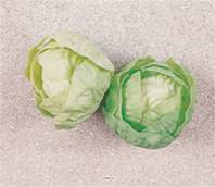 Laitues salade verte factices x2 D 100 mm plastique soufflé