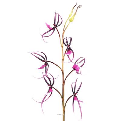 Orchidee Spider artificielle H 92 cm Latex Toucher reel Pourpre