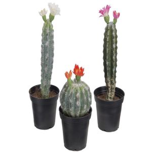 Cactus fleuris factices en pot lot de 3 fausses Cactées H 13-20 cm