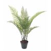 Fougère arborescente Cyathea factice en pot H 100 cm Vert