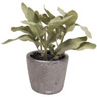 Herbe aromatique artificielle Sauge H 17 cm, D 16cm