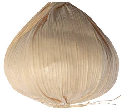 Tete d'ail creme factice D 5,5 cm et H 6,5 cm environ