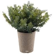 Thym herbe aromatique factice touché réel