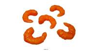 Crevettes oranges cuites en plastique souflé x5, Longueur 5 cm, largeur 4 cm