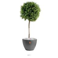 Buis boule factice H 110 cm D 45 cm tronc naturel In Out en pot