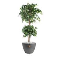 Ficus factice double boule H 150 cm Vert en pot