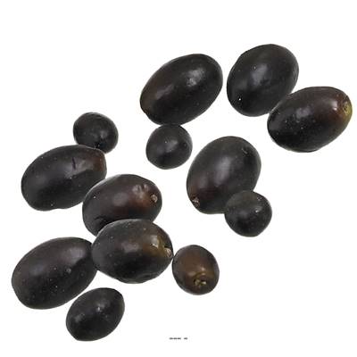 Olives noires factices x25 D 2-3 cm touché réel