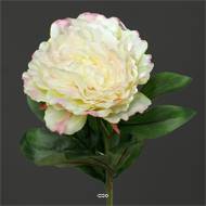 Pivoine factice Creme Vert H 63 cm tres belle tete