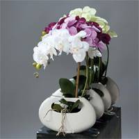 Orchidee artificielle Creme 1 hampe pot Ceramique Blanc oval H 43 cm