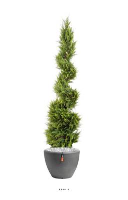 Cypres Juniperus factice en pot sur tronc en spirale fine H 130 cm