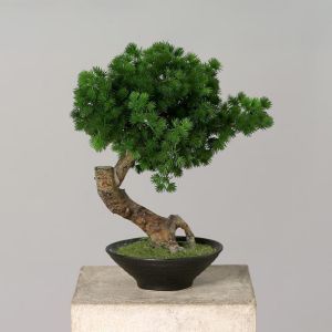 Bonsai factice Pinus H 38 X 30 cm Pot coupe en ceramique qualitatif
