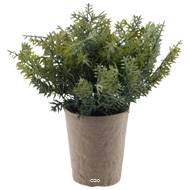 Thym herbe aromatique factice touché réel