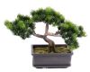 Bonsai factice Formosa H 22 cm Feuillage anti-UV