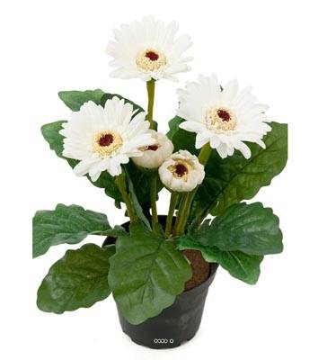Gerbera artificiel crème en pot H 30 cm 6 fleurs adorable