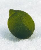 Citrons verts factices x3 H 80x60 mm plastique soufflé