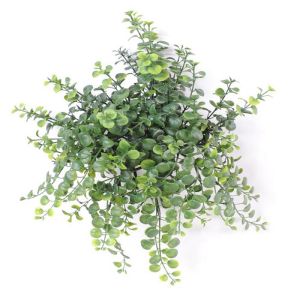 Peperonia artificiel en chute H 40 cm petites feuilles plastique