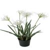 Nérine factice, 5 têtes de fleurs, en pot H 80 cm