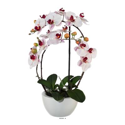 Orchidee factice en coupe ceramique H 60 cm toucher reel 4 hampes Rose-crème