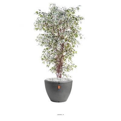 Ficus Benjamina factice Panache petite feuille tronc lianes en pot tronc naturel H 150 cm Blanc-vert