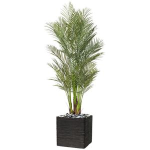 Palmier Areca factice H 160 cm 6 troncs dans un pot