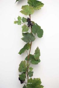 Guirlande de vigne artificielle 180 cm avec 4 grappes de raisin